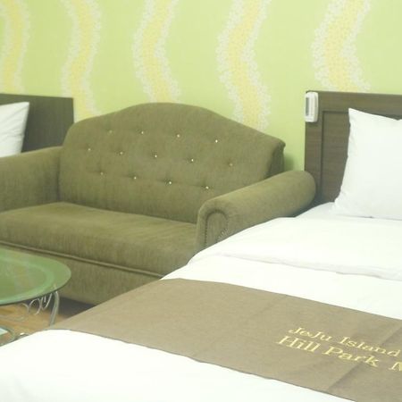 Hill Park Hotel Csedzsu Kültér fotó